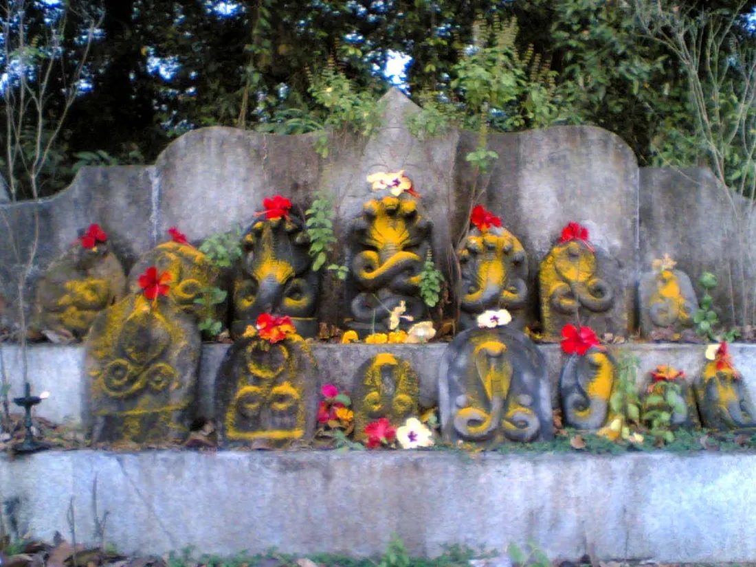 Carved naga stones in a nagabana, the sacred serpent grove tended by Tuluva families at Moodubelle in Udupi district of coastal Karnataka