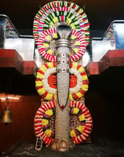 Amareswara Swamy at Amaravati on the Krishna river — the tall linga in the sanctum, garlanded for worship, at one of the Pancharama Kshetras in the old Kammanadu country
