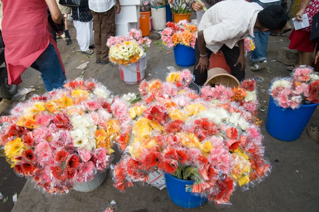 Bundled gerberas in cream, yellow, coral and crimson stacked in baskets at the City Market flower trade in Bengaluru, where Thigala growers have long brought their flowers